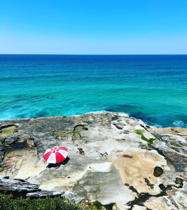 A very merry and blessed Christmas to all you awesome travelers out there. A time of year to remember the redemptive power of love. This subtle festive snap taken from the famous Bondi to Bronte walk ❤️....#ilovesydney #yoursydneyguide #seeaustralia #australiabound #travelgram #sydney #christmas #wanderlust #jetset #igtravel #vacation #traveling #familytravel #sydneyprivatetours #roadlesstravelled #luxuryispersonal #bespoketravel #bondibrontewalk