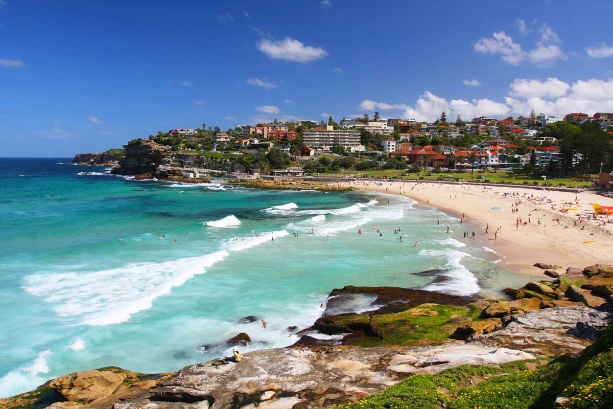 Experience Australian beach life on a private tour of Sydney