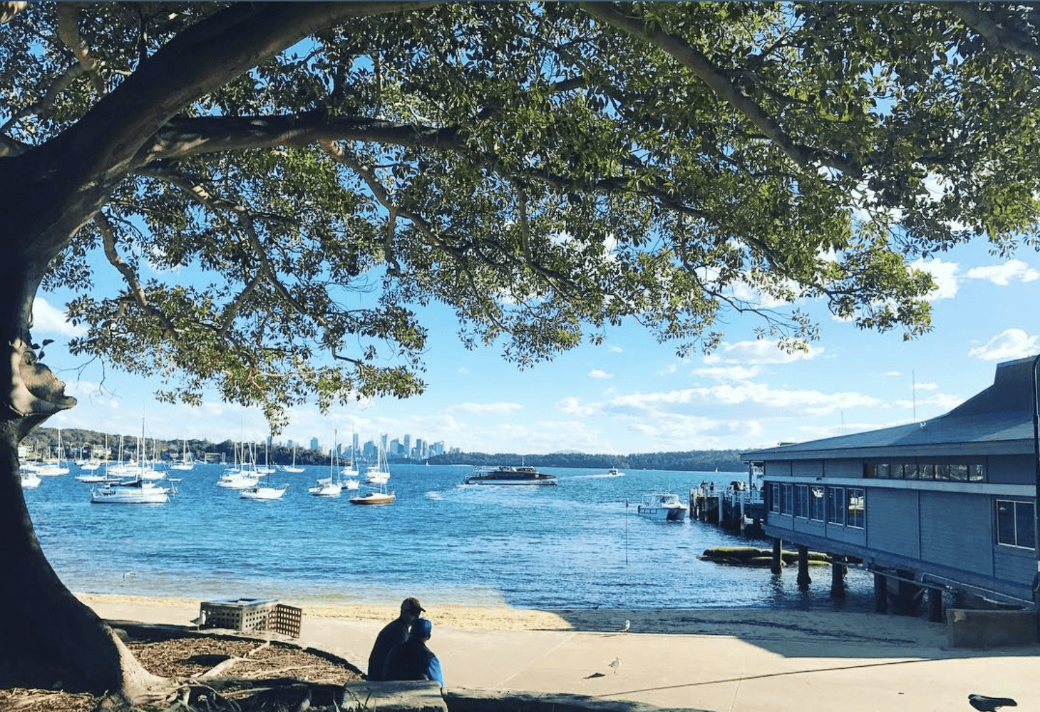 Visit Sydney's exclusive harbour suburbs - Watsons Bay